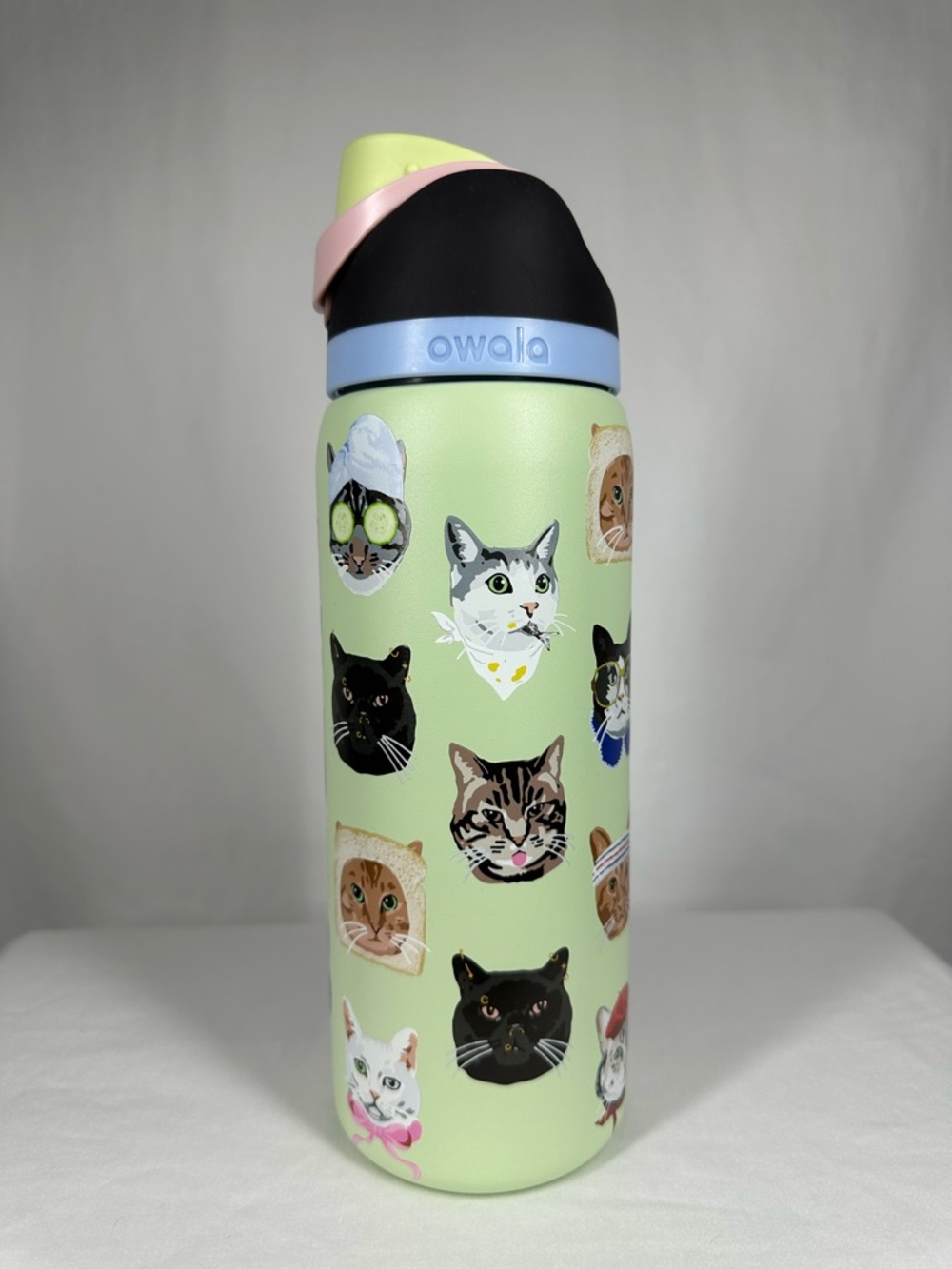 Owala UO Exclusive FreeSip 32 oz Water Bottle Cat Collage
